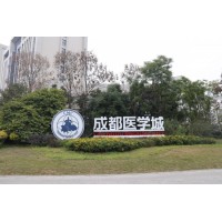 户外落地字医学城地标景观立体大字