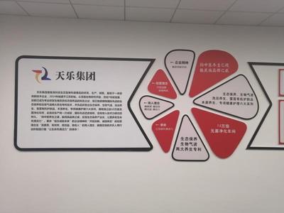 昆明公司企业文化墙设计制作安装